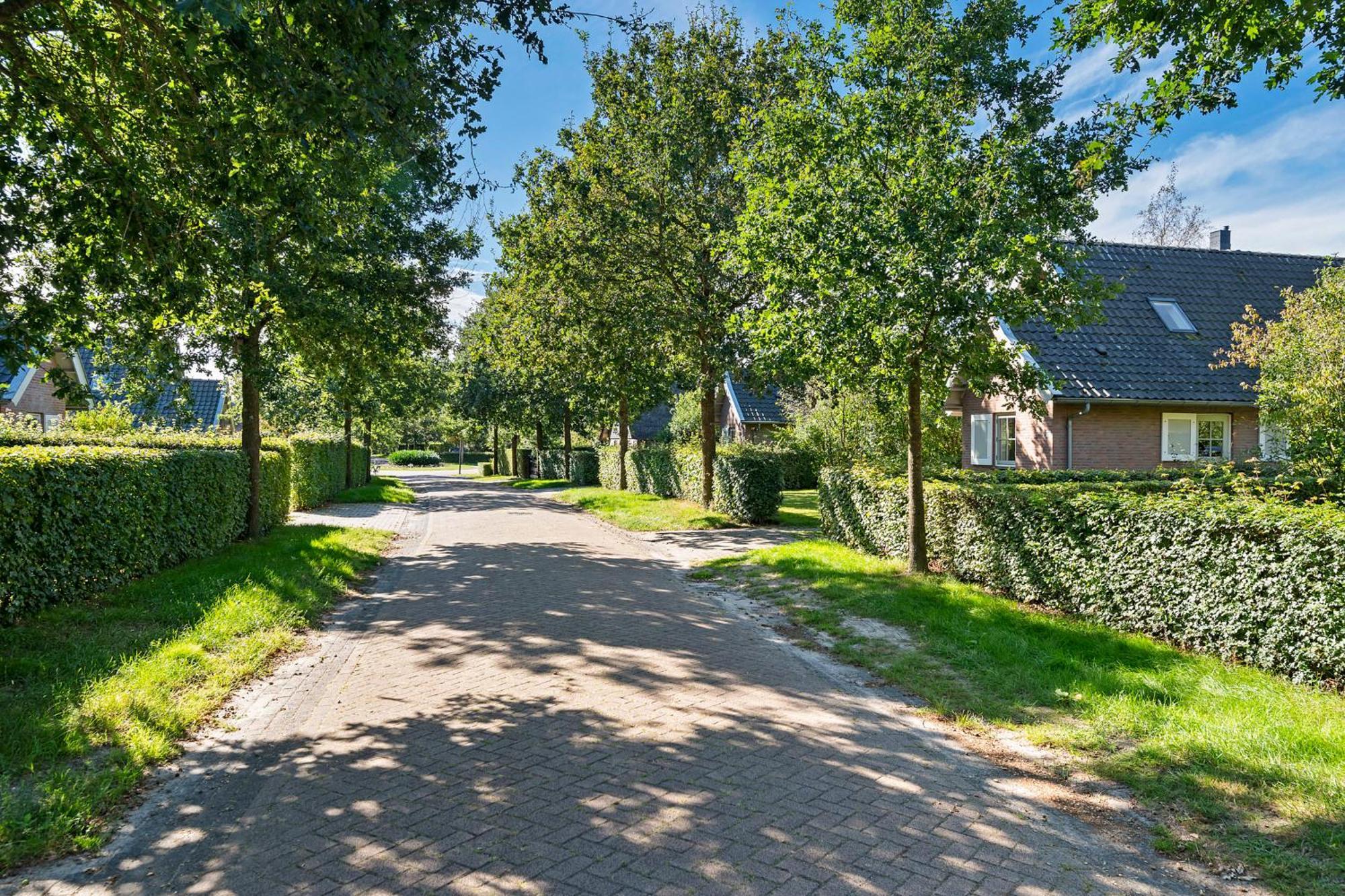 Buitenplaats De Hildenberg 阿帕尔查 外观 照片