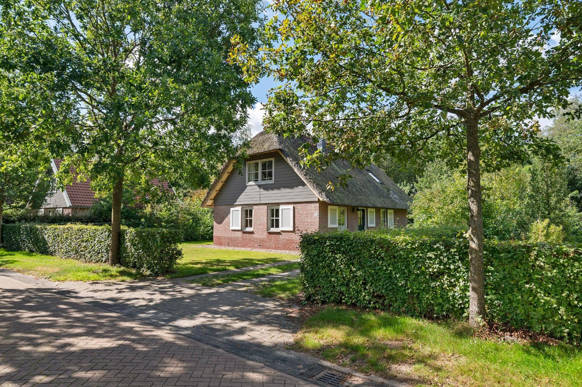 Buitenplaats De Hildenberg 阿帕尔查 外观 照片